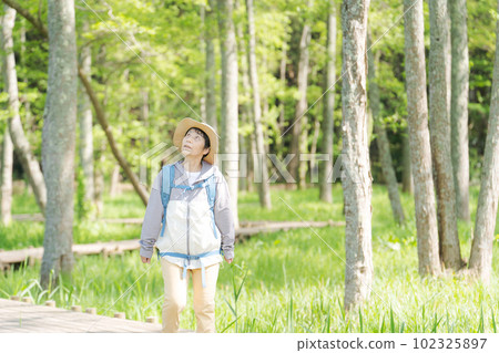 Photo of a senior woman hiking in fresh green 102325897