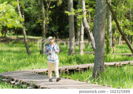 一位高級女性在新綠色中徒步旅行的照片 一位高級女性在新綠色中徒步旅行的照片 102325899