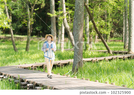 Photo of a senior woman hiking in fresh green 102325900