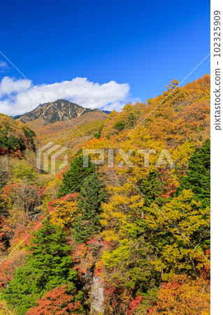 Yamanashi _ Superb view of Mt. Yatsugatake and autumn leaves seen from Higashizawa Bridge Yamanashi _ Superb view of Mt. Yatsugatake and autumn leaves seen from Higashizawa Bridge 102325909