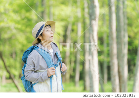 一位高級女性在新綠色中徒步旅行的照片 102325932