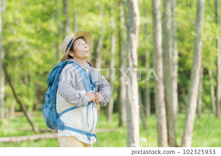 Photo of a senior woman hiking in fresh green 102325933
