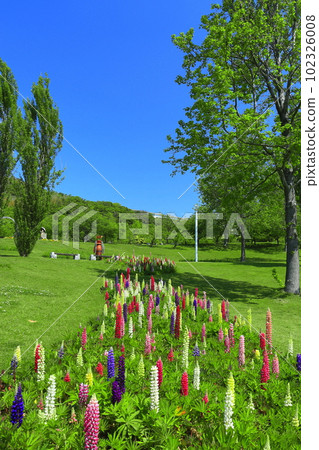 [兵庫縣]明石海峽國營公園的白楊山晴朗的天氣 102326008
