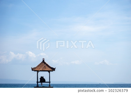 一對夫婦在海灘上調情的剪影 一對夫婦在海灘上調情的剪影 102326379
