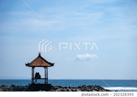 在巴厘島沙努爾海灘上調情的情侶剪影 在巴厘島沙努爾海灘上調情的情侶剪影 102326393