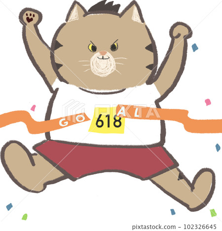 馬拉松運動員到達目標 貓切割目標帶 目標 102326645