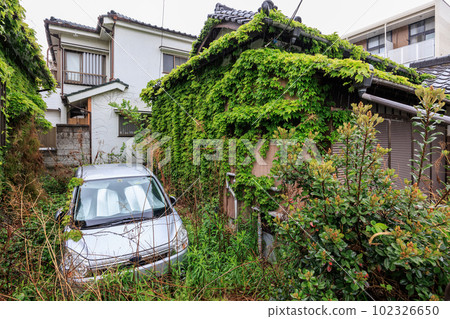 常春藤覆蓋的空置房屋和廢棄的汽車 102326650