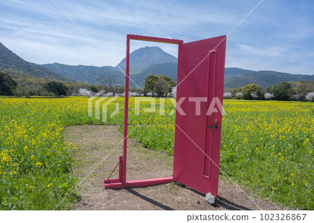 島原雲雀山花卉公園 - 舊島原芝櫻公園 島原雲雀山花卉公園 - 舊島原芝櫻公園 102326867