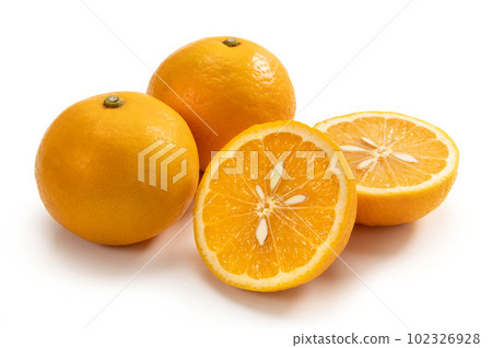 new summer orange 102326928