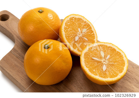 new summer orange 102326929