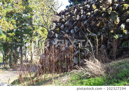 View of Aoba Castle stone wall 102327294