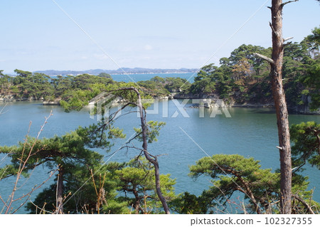 View from Zuihogaoka, Matsushima Wangan Corridor 102327355