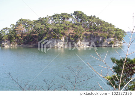 View from Zuihogaoka, Matsushima Wangan Corridor 102327356