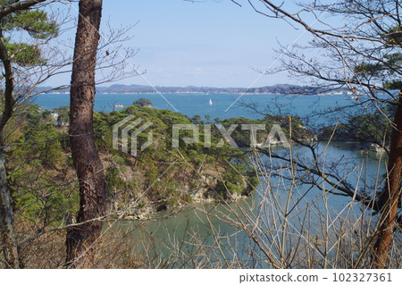 從瑞鳳丘眺望松島灣岸迴廊 102327361