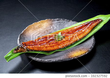 Eel Grilled Eel Eel Grilled Eel 102327592