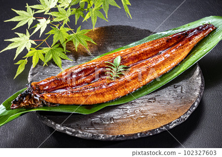 鰻魚烤鰻魚 102327603