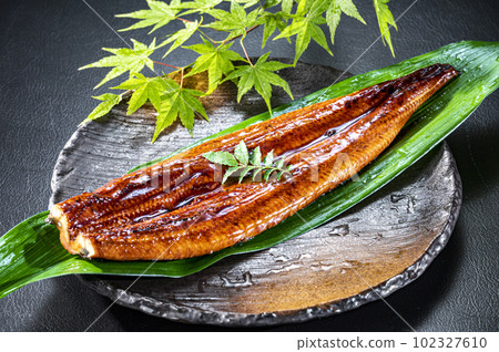 Eel Grilled Eel Eel Grilled Eel 102327610