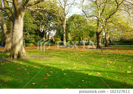 ireland dublin st stephens green autumn park ireland dublin st stephens green autumn park 102327611