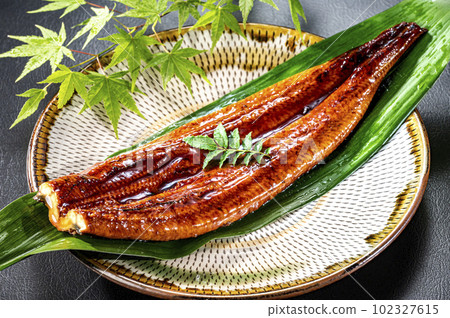 Eel Grilled Eel Eel Grilled Eel 102327615