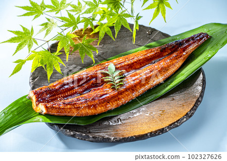 Eel Grilled Eel Eel Grilled Eel 102327626