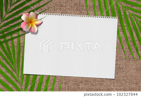 A sketchbook on a straw background with palm leaves and plumeria A sketchbook on a straw background with palm leaves and plumeria 102327844