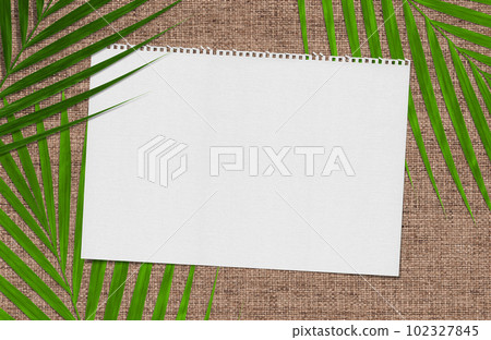 Straw background, sketchbook, and coconut leaves for a resort image Straw background, sketchbook, and coconut leaves for a resort image 102327845