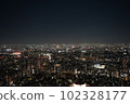 Night view of central Tokyo city 102328177