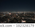 Night view of central Tokyo city 102328179
