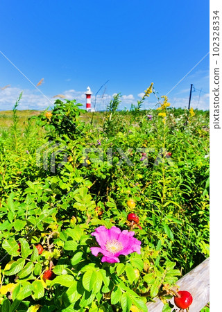 Breathtaking view of Ishikari, Hokkaido Hamanasu no Oka Park Breathtaking view of Ishikari, Hokkaido Hamanasu no Oka Park 102328334