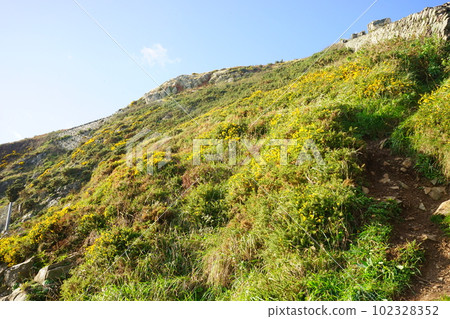 ireland wicklow autumn scenery 102328352