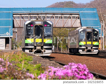 Ranshima station in spring when moss phlox blooms 102328855