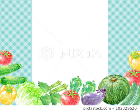 Rectangular frame of colored pencil drawing of summer vegetables Plaid background Rectangular frame of colored pencil drawing of summer vegetables Plaid background 102329620