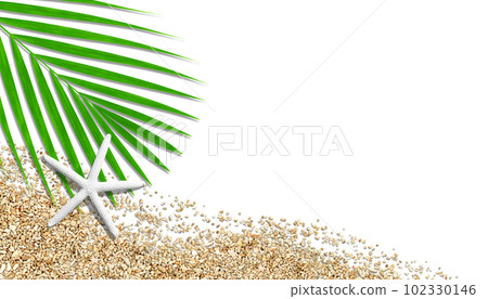 白色海星和沙珊瑚和棕櫚葉，海灘圖像切口背景 102330146