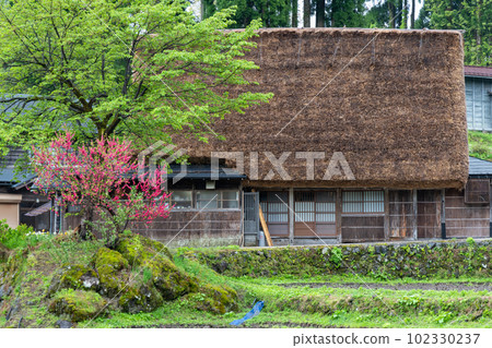 Gokayama in the fresh greenery of Ainokura Gassho-zukuri Village 102330237