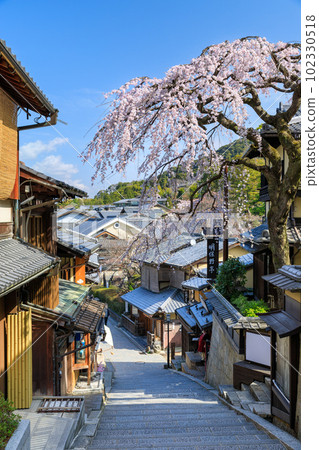 Weeping cherry blossoms in full bloom in Kyoto_Sanneizaka (Sannen-zaka) Weeping cherry blossoms in full bloom in Kyoto_Sanneizaka (Sannen-zaka) 102330518
