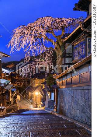 Weeping cherry blossoms in full bloom in Kyoto_Sanneizaka (Sannen-zaka) 102330597