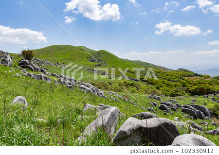 福岡縣北九州市北九州國定公園平尾台 102330912