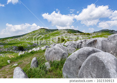 福岡縣北九州市北九州國定公園平尾台 102330913