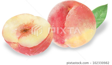 Illustration of a peach with a sweet scent Illustration of a peach with a sweet scent 102330982