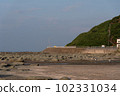 Senjojiki海岸 102331034
