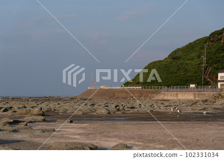 Senjojiki海岸 102331034