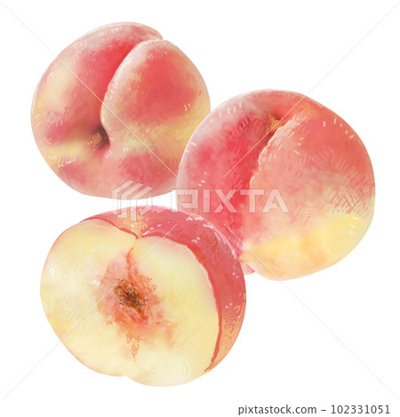 Illustration of a peach with a sweet scent 102331051