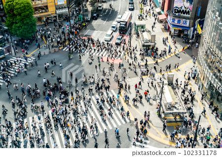 [Tokyo] Shibuya scramble crossing crowded during Golden Week 102331178