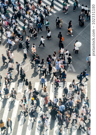 [Tokyo] Shibuya scramble crossing crowded during Golden Week 102331180