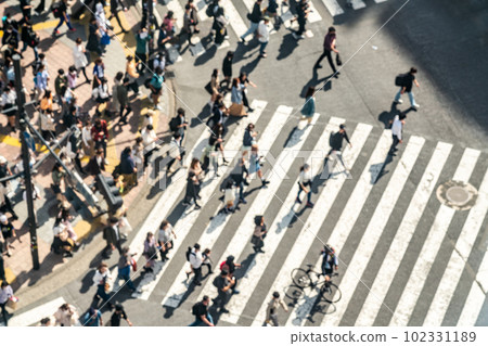 [Tokyo] Shibuya scramble crossing crowded during Golden Week 102331189