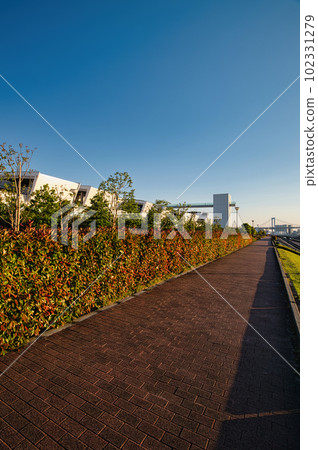 Scenery of Tokyo Toyosu Market and Rainbow Bridge 102331279