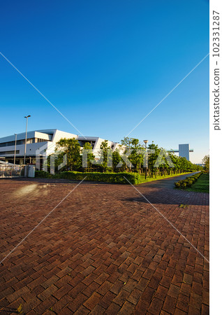 東京丰洲市場和彩虹橋的風景 東京丰洲市場和彩虹橋的風景 102331287