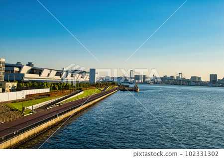 Scenery of Tokyo Toyosu Market and Rainbow Bridge 102331302
