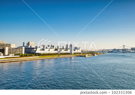 Scenery of Tokyo Toyosu Market and Rainbow Bridge 102331306