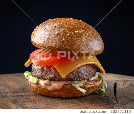 fresh tasty burger 102331310